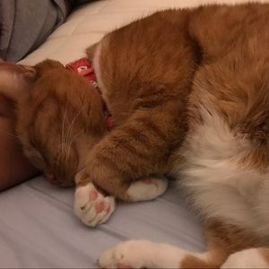 Meet your Posher, Gabriela